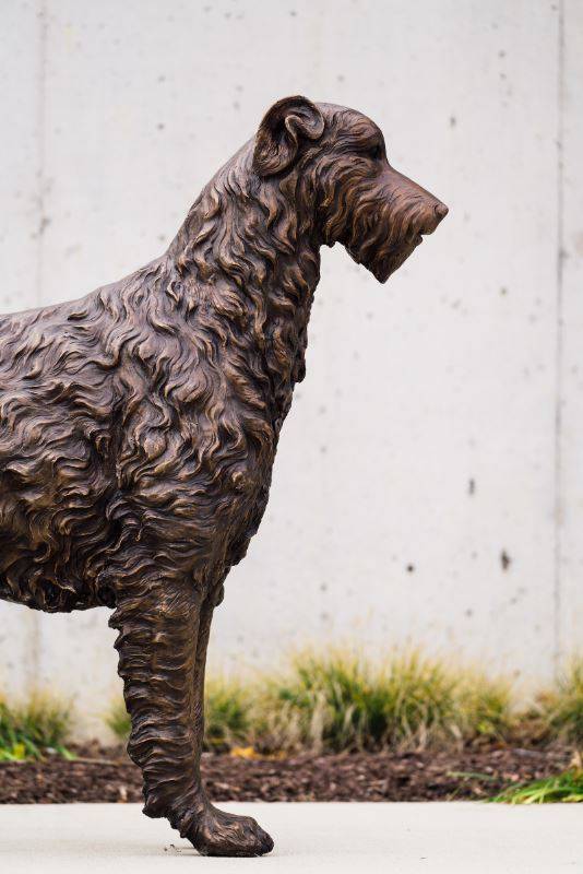 Custom Irish Wolfhound Dog Statue