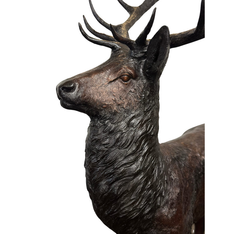 Standing Deer - Buck & Doe