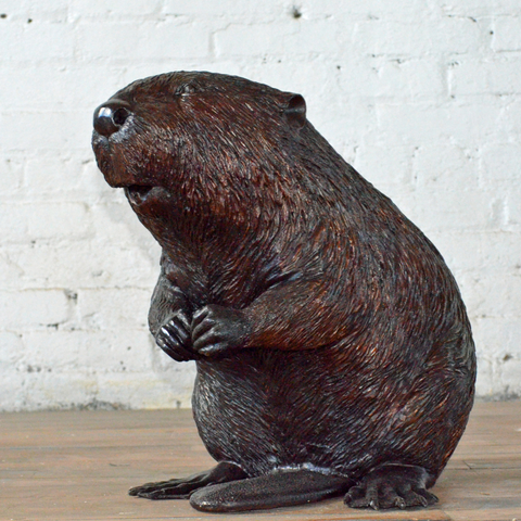 Sitting Beaver