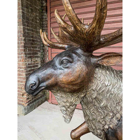 Bronze Moose Sculpture - Special Patina