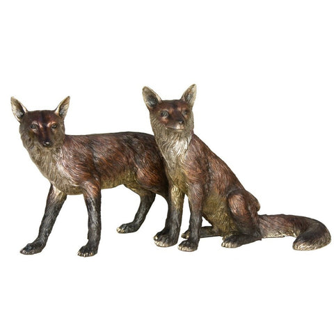 Pair of Foxes