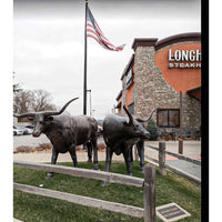 Texas Longhorn Statue