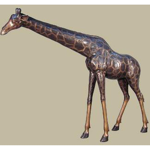 Giraffe - Bending Head