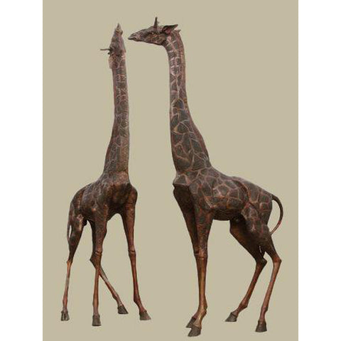 Pair of Very Tall Giraffes