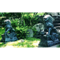 Foo Dogs - Chinese Guardian Lion Statues