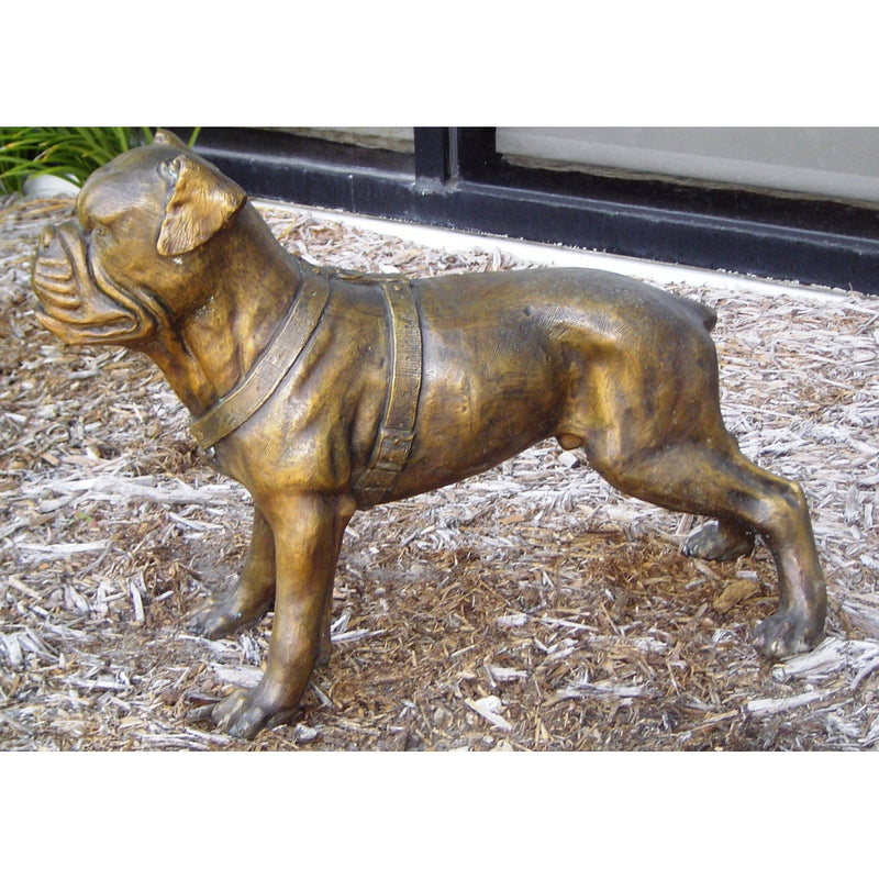 Bronze Dog Statue of Bulldog