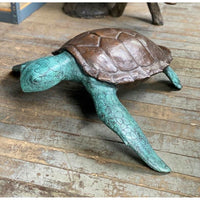 Bronze Sea Turtle