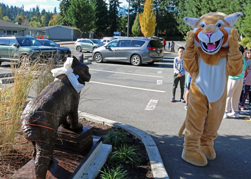 'Captain' the Bobcat Receives Warm Welcome at Cougar Ridge