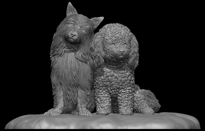 3D Rendering: Cairn Terrier and a Bichon Frise Poodle sitting together