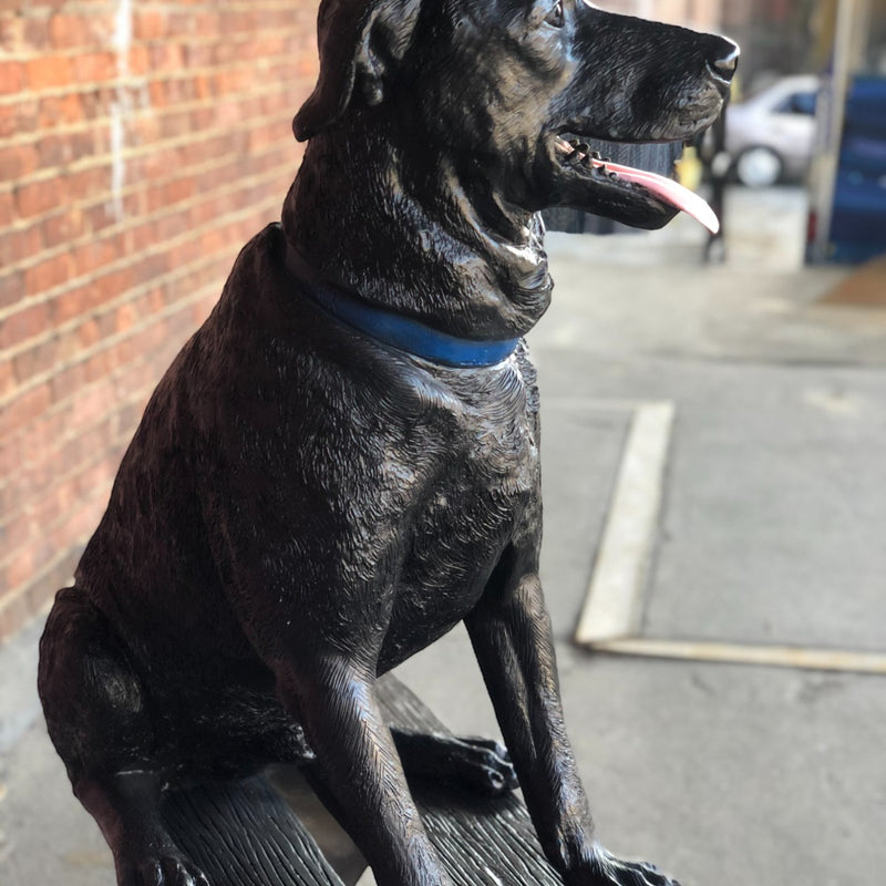 Jack Lab & Squirrel with Bench