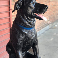 Jack Lab & Squirrel with Bench