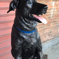 Jack Lab & Squirrel with Bench