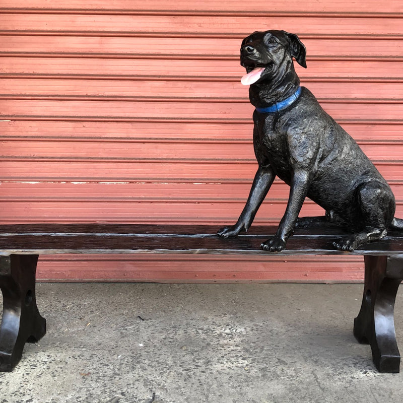 Jack Lab & Squirrel with Bench