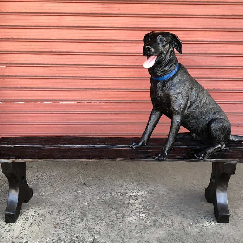 Jack Lab & Squirrel with Bench