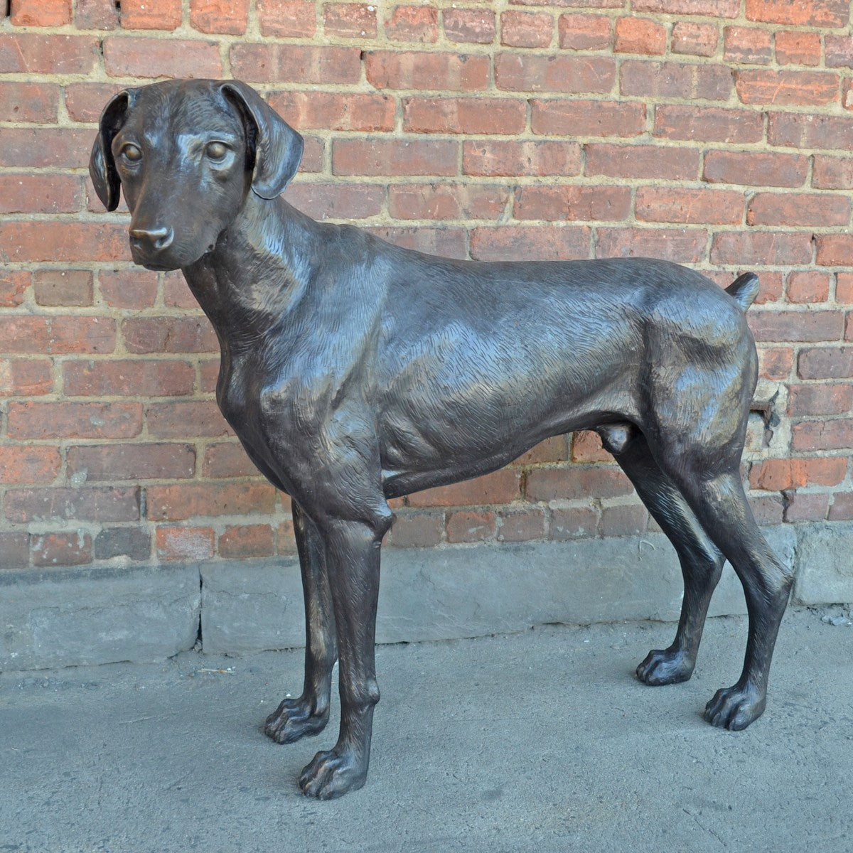 Bronze Doberman Pinscher Dog Statue | Randolph Rose Collection Bronze Doberman Pinscher Dog Statue | Randolph Rose Collection