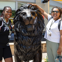 The Lion King Bronze Statue