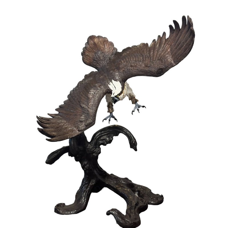 Bronze Osprey Bird Statue 