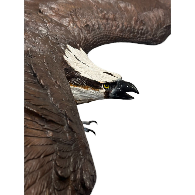 Bronze Osprey Bird Statue - right side of face closeup