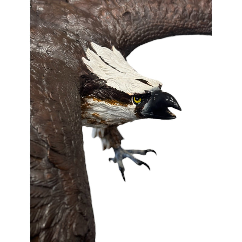 Bronze Osprey Bird Statue - closeup of face