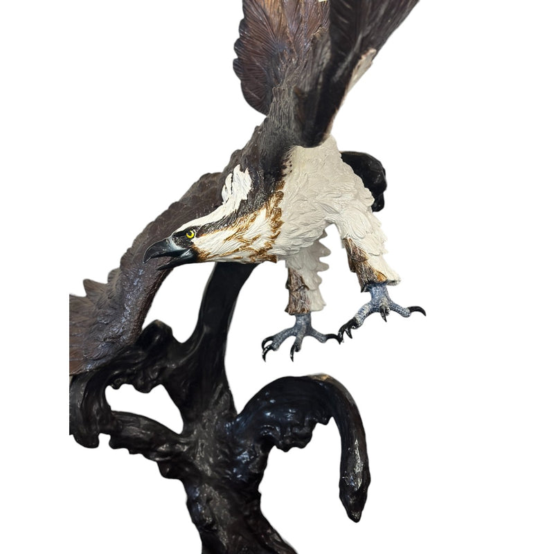 Bronze Osprey Bird Statue left side of the face