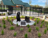 Bailey & Daisy Terrier & Poodle Statue