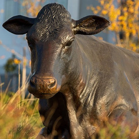 Holstein Cow Set & Labrador
