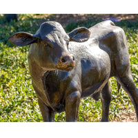 Holstein Cow Set & Labrador