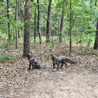 Pair of Bronze Garden Fox Statues