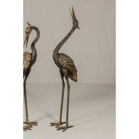 Pair of Red Crested Cranes