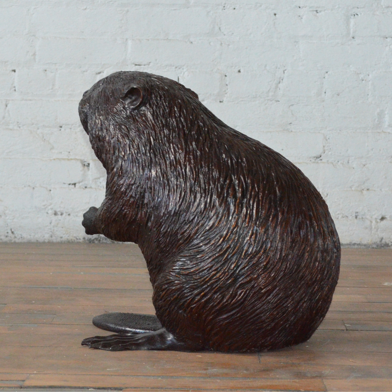 Sitting Beaver