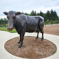 Holstein Cow Standing