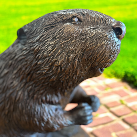 Bronze Beaver Statue