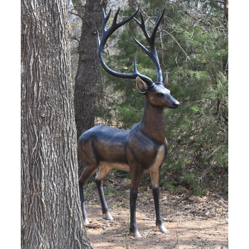 Whitetail Stag