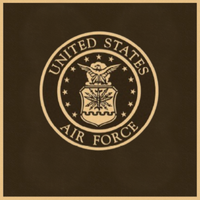 Bronze Military Plaque of the United States Air Force Seal