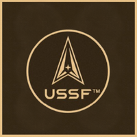 Bronze Military Plaque of the United States Space Force Seal