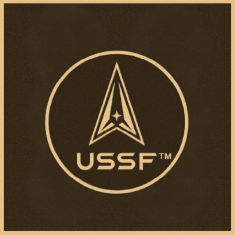 Bronze Military Plaque of the United States Space Force Seal