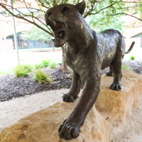 Bronze Roaring Jaguar Statue