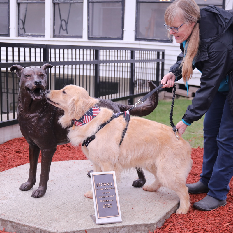 Brownie German Shepherd Statue