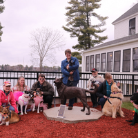Brownie German Shepherd Statue