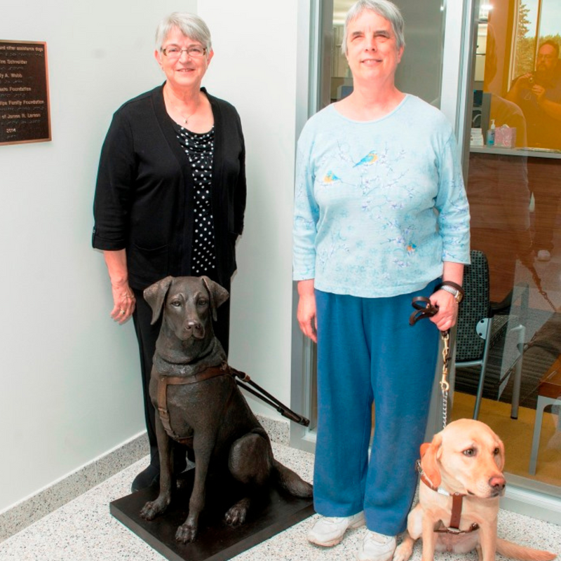 Guiding Eyes Custom Bronze Labrador Service Dog Statue