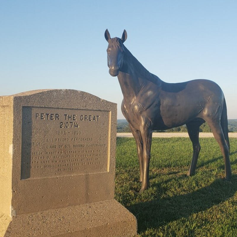 Bronze Thoroughbred Horse Statue Left Facing