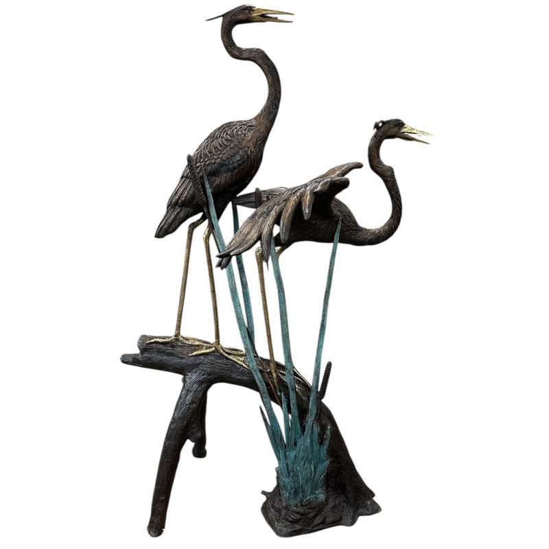 Pair of Herons on Tree