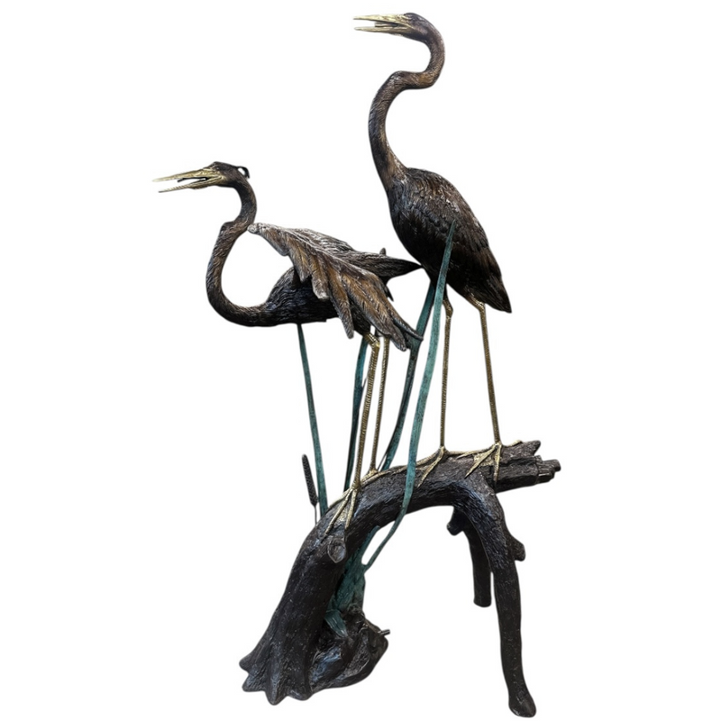 Pair of Herons on Tree