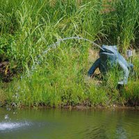 Bronze Jungle Frog Fountain