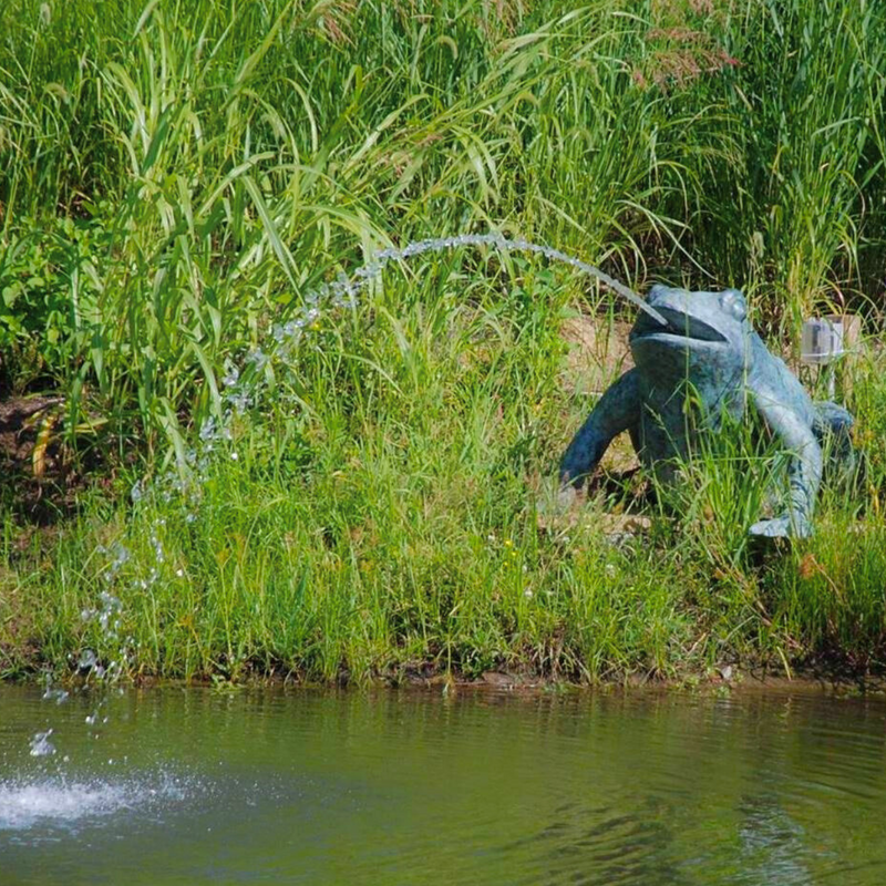 Bronze Jungle Frog Fountain