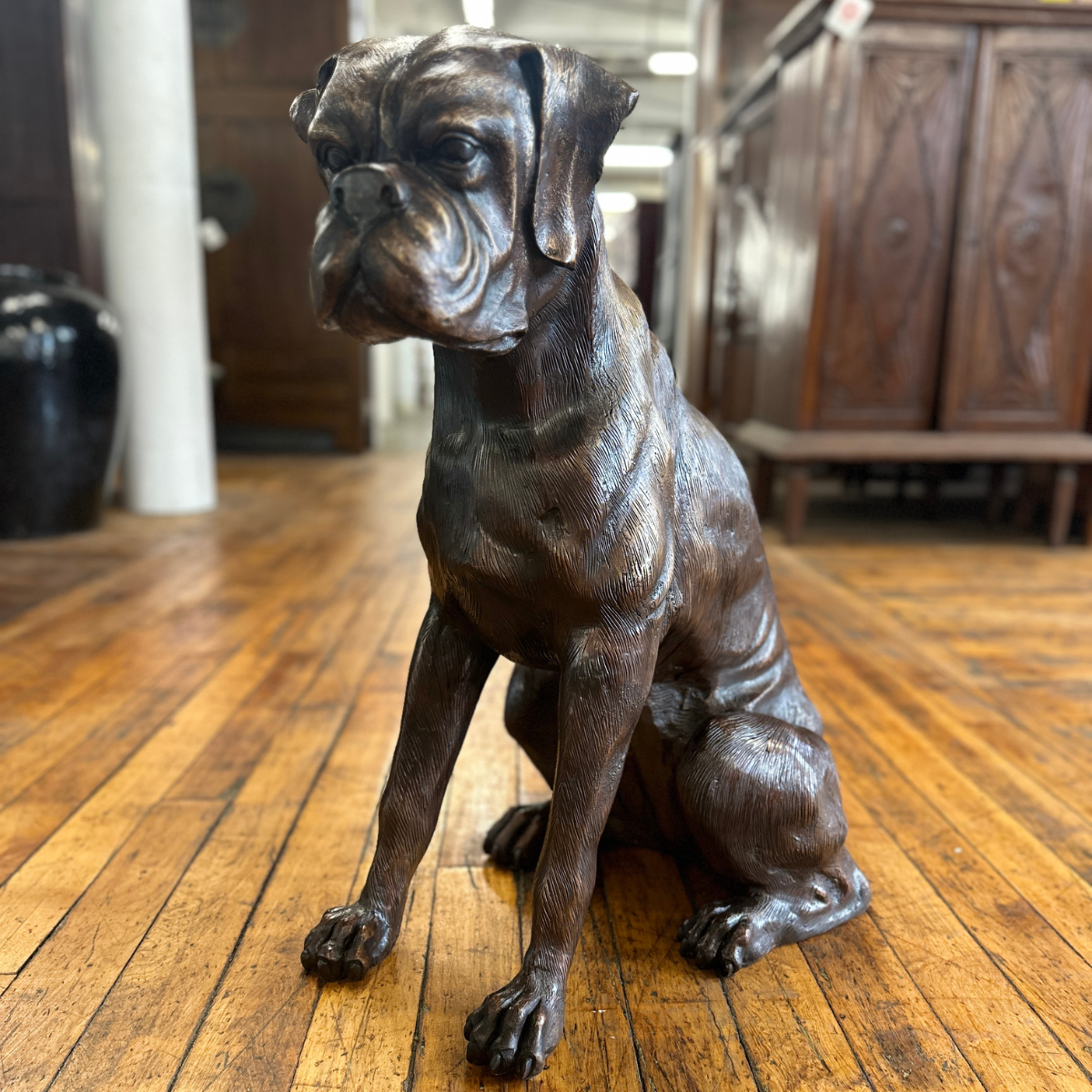 Boxer non coupé, statue miniature / buste de chien, édition limitée, Art Dog FR | Australia