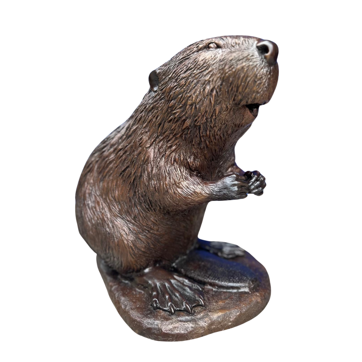 Small Bronze Beaver Statue Sitting | Randolph Rose Collection