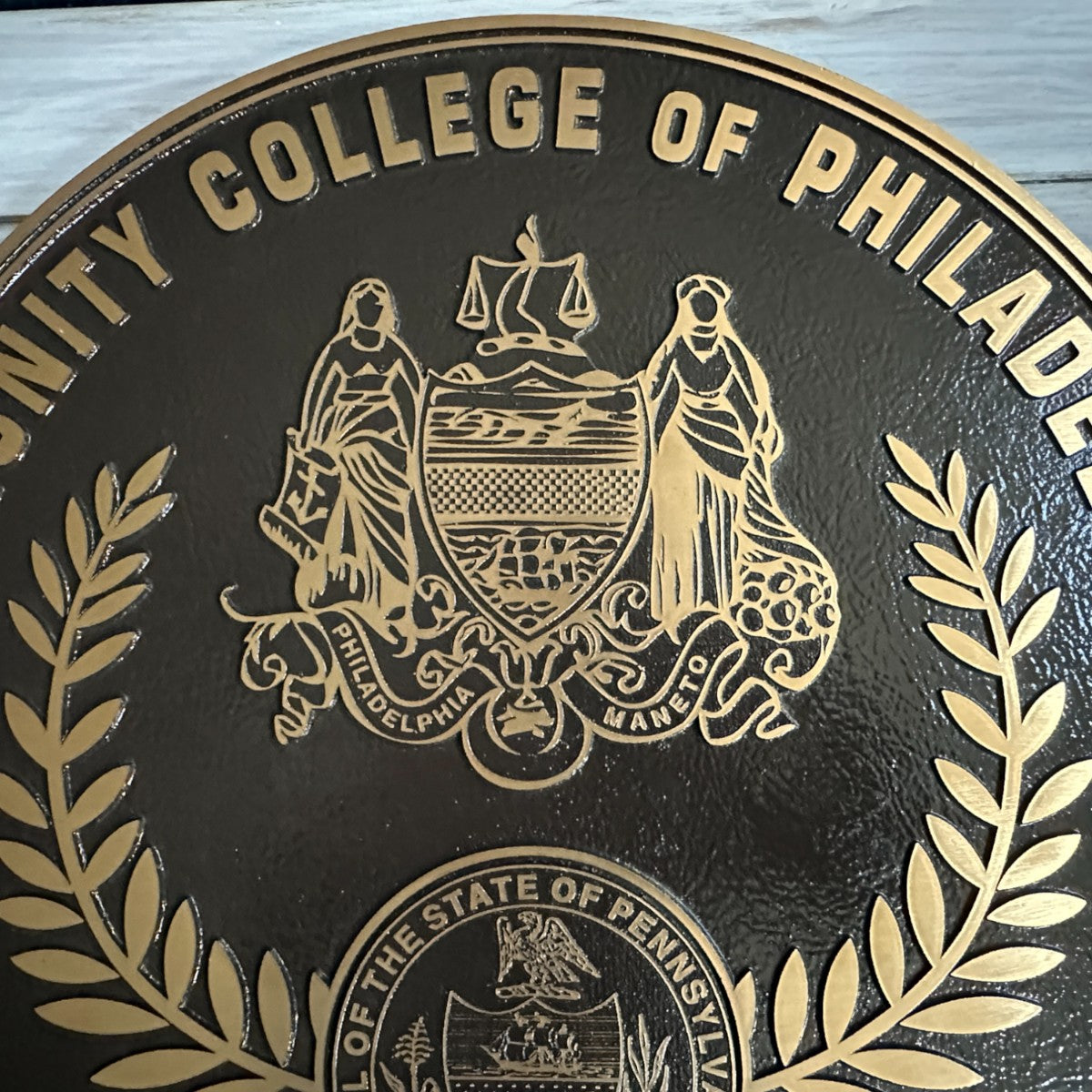 Custom College Crest Medallion Plaque | Randolph Rose Collection