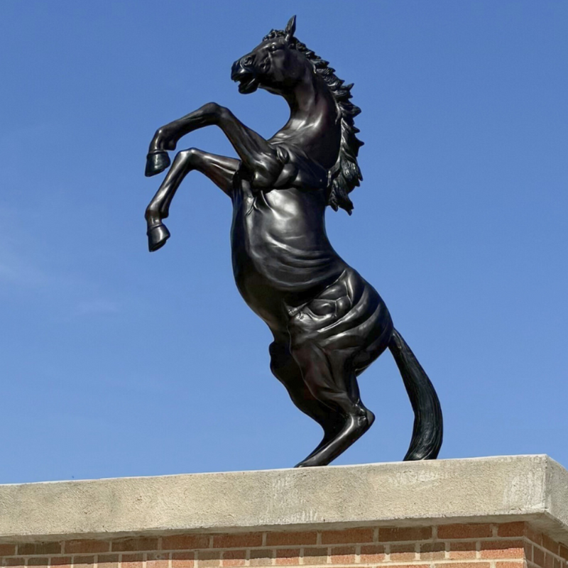 Bronze Rearing Horse Statue in Black Patina | Randolph Rose Collection