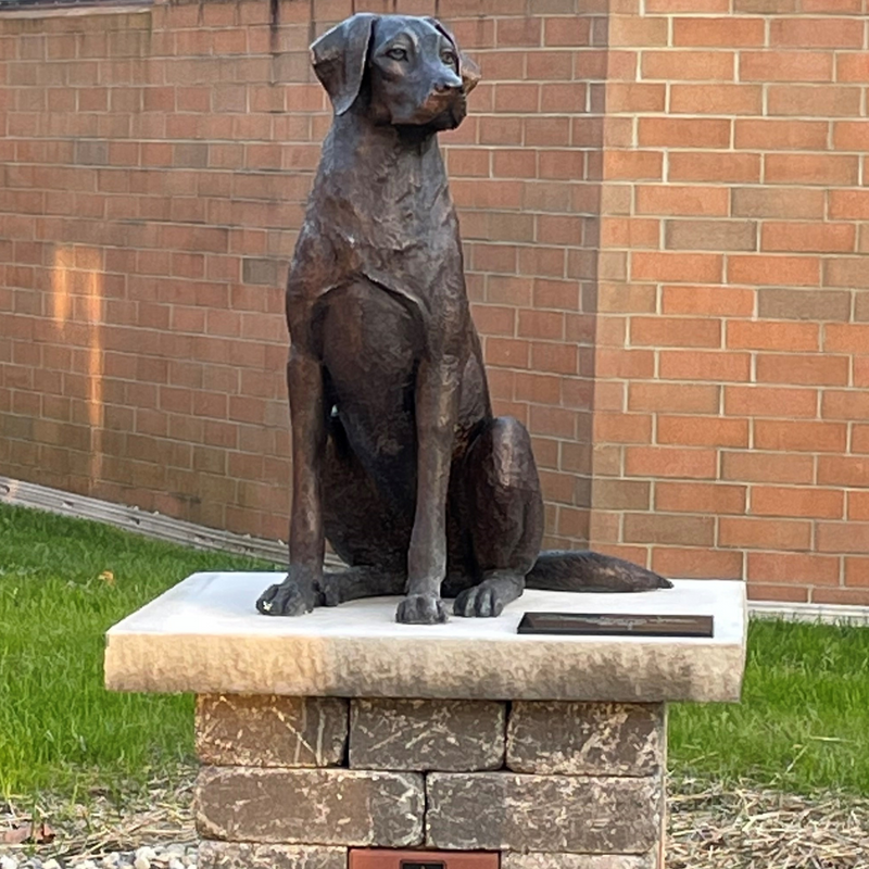 Bronze Dog Statue of Labrador Retriever | Randolph Rose Collection